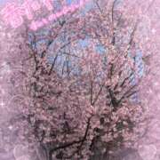 ヒメ日記 2026/04/06 18:24 投稿 中村美月 五十路マダム 郡山店