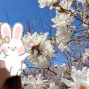 ヒメ日記 2026/04/08 15:50 投稿 中村美月 五十路マダム 郡山店