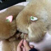 ヒメ日記 2025/01/26 19:03 投稿 えみり【絶対保証！G乳美女】 STELLA NEXT－ステラネクスト－