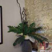 ヒメ日記 2025/04/18 16:42 投稿 ゆめか【えちえちニューハーフ♡】 STAR-スター-