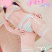 ヒメ日記 2024/12/30 17:29 投稿 紅蘭 すずな(人妻) 女子会×プレミアム