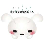 ヒメ日記 2025/04/16 10:29 投稿 紅蘭 すずな(人妻) 女子会×プレミアム