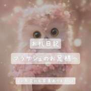 ヒメ日記 2025/05/31 19:09 投稿 紅蘭 すずな(人妻) 女子会×プレミアム