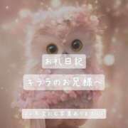 ヒメ日記 2025/06/02 16:19 投稿 紅蘭 すずな(人妻) 女子会×プレミアム