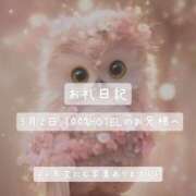 ヒメ日記 2025/06/03 12:29 投稿 紅蘭 すずな(人妻) 女子会×プレミアム