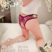 ヒメ日記 2025/06/09 09:19 投稿 紅蘭 すずな(人妻) 女子会×プレミアム