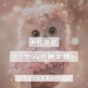 ヒメ日記 2025/06/12 21:09 投稿 紅蘭 すずな(人妻) 女子会×プレミアム