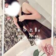 ヒメ日記 2025/06/16 09:49 投稿 紅蘭 すずな(人妻) 女子会×プレミアム