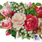 ヒメ日記 2025/10/09 15:29 投稿 紅蘭 すずな(人妻) 女子会×プレミアム