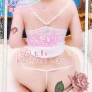 ヒメ日記 2025/11/06 20:19 投稿 紅蘭 すずな(人妻) 女子会×プレミアム