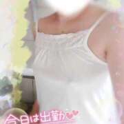 ヒメ日記 2025/11/12 08:59 投稿 紅蘭 すずな(人妻) 女子会×プレミアム