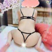 ヒメ日記 2025/11/12 13:19 投稿 紅蘭 すずな(人妻) 女子会×プレミアム