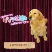 ヒメ日記 2025/11/13 06:19 投稿 紅蘭 すずな(人妻) 女子会×プレミアム