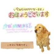 ヒメ日記 2025/11/14 10:09 投稿 紅蘭 すずな(人妻) 女子会×プレミアム