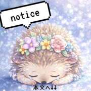 ヒメ日記 2026/02/16 08:49 投稿 紅蘭 すずな(人妻) 女子会×プレミアム