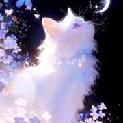 ヒメ日記 2026/04/05 08:49 投稿 紅蘭 すずな(人妻) 女子会×プレミアム