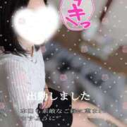 ヒメ日記 2026/07/05 11:09 投稿 紅蘭 すずな(人妻) 女子会×プレミアム
