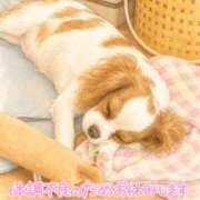 ヒメ日記 2026/08/06 07:23 投稿 紅蘭 すずな(人妻) 女子会×プレミアム