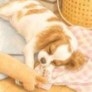 ヒメ日記 2026/08/20 07:29 投稿 紅蘭 すずな(人妻) 女子会×プレミアム
