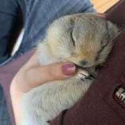 ヒメ日記 2024/12/24 11:16 投稿 美園 熟女の風俗最終章 新横浜店