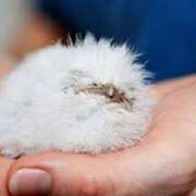 ヒメ日記 2024/12/26 22:56 投稿 美園 熟女の風俗最終章 新横浜店