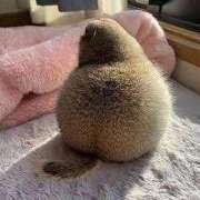 ヒメ日記 2025/07/02 20:43 投稿 美園 熟女の風俗最終章 新横浜店