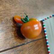 ヒメ日記 2025/11/16 01:26 投稿 美園 熟女の風俗最終章 新横浜店