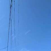 ヒメ日記 2025/11/19 07:46 投稿 美園 熟女の風俗最終章 新横浜店