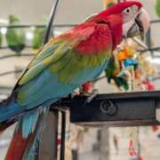 ヒメ日記 2025/12/04 09:36 投稿 美園 熟女の風俗最終章 新横浜店