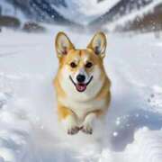 ヒメ日記 2026/02/06 12:05 投稿 美園 熟女の風俗最終章 新横浜店