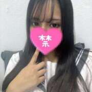 ヒメ日記 2025/02/16 01:14 投稿 もあ ホワイトハウス