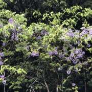 ヒメ日記 2024/04/28 15:20 投稿 牧加代子 五十路マダム 愛されたい熟女たち 高松店