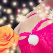 ヒメ日記 2025/12/29 08:00 投稿 牧加代子 五十路マダム 愛されたい熟女たち 高松店