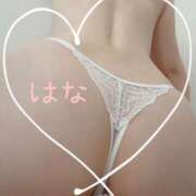 ヒメ日記 2026/01/31 02:07 投稿 はな(人妻) THE・TRY