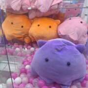 ヒメ日記 2025/02/13 20:20 投稿 ひいろ SOAPLAND LOVE FACTORY