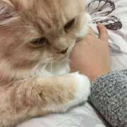 ヒメ日記 2026/02/24 23:16 投稿 ひいろ SOAPLAND LOVE FACTORY