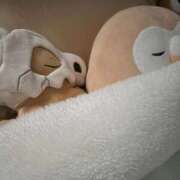 ヒメ日記 2026/05/05 06:52 投稿 ひいろ SOAPLAND LOVE FACTORY