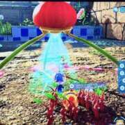 ヒメ日記 2025/05/20 18:15 投稿 らん 谷町人妻ゴールデン倶楽部