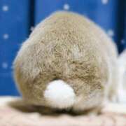 ヒメ日記 2025/07/04 12:44 投稿 なみ 舐めフェチの会