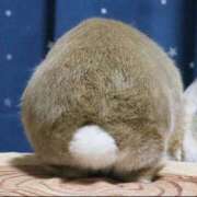 なみ ありがとっ 舐めフェチの会