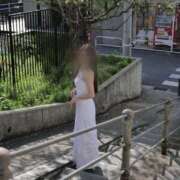 ヒメ日記 2025/02/16 20:47 投稿 日向 菜緒 バルボラ マリン