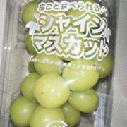 ヒメ日記 2024/12/29 20:12 投稿 莉久/Riku ジュリエット