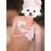 ヒメ日記 2025/06/24 15:27 投稿 莉久/Riku ジュリエット