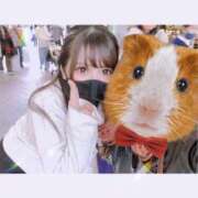 ヒメ日記 2025/10/11 09:03 投稿 莉久/Riku ジュリエット