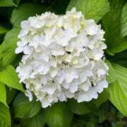 ヒメ日記 2025/06/23 12:24 投稿 りん 40代からのリアル鹿児島美熟女 REBORN リボン