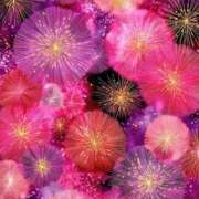 ヒメ日記 2025/07/24 12:10 投稿 りん 40代からのリアル鹿児島美熟女 REBORN リボン