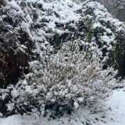 ヒメ日記 2026/02/09 13:42 投稿 りん 40代からのリアル鹿児島美熟女 REBORN リボン