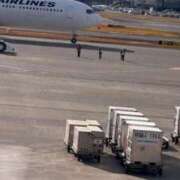 ヒメ日記 2024/12/29 23:47 投稿 めり Fの法則