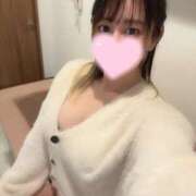 ヒメ日記 2025/01/20 15:07 投稿 めり Fの法則