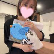 ヒメ日記 2025/05/01 21:17 投稿 めり Fの法則